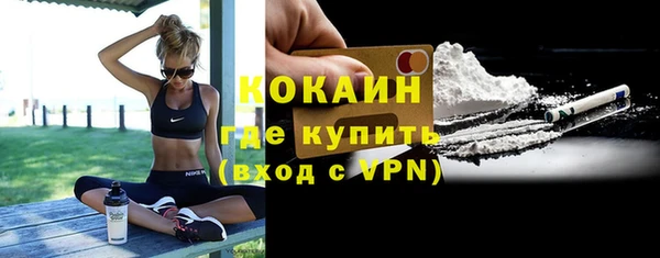 альфа пвп Новодвинск