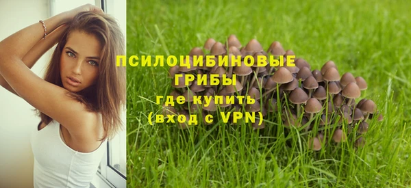 МДПВ Алексин