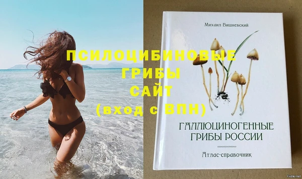 PSILOCYBIN Алексеевка