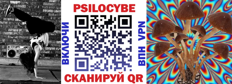 где можно купить   Спасск-Рязанский  Галлюциногенные грибы Psilocybine cubensis 